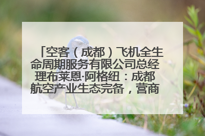 空客（成都）飞机全生命周期服务有限公司总经理布莱恩·阿格纽：成都航空产业生态完备，营商环境优势显著